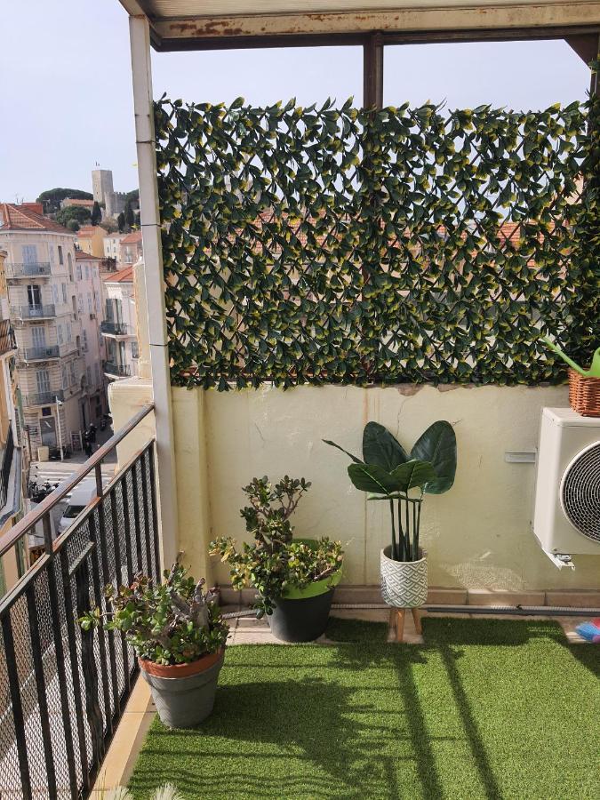 Apartment Studios Alea